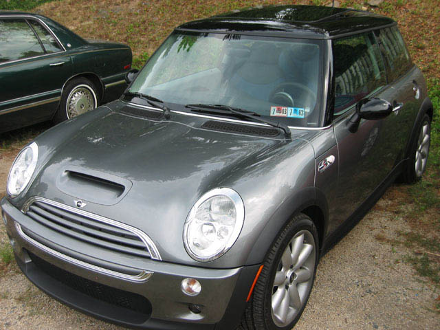 Rosen Marks MINI